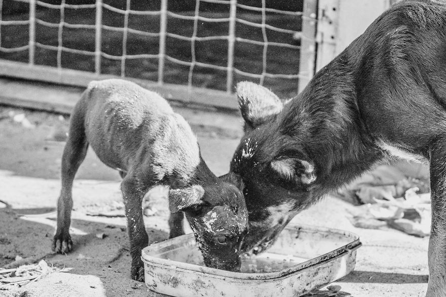 I Followed A Rescue Organisation Around An Informal Settlement In South Africa With My Camera