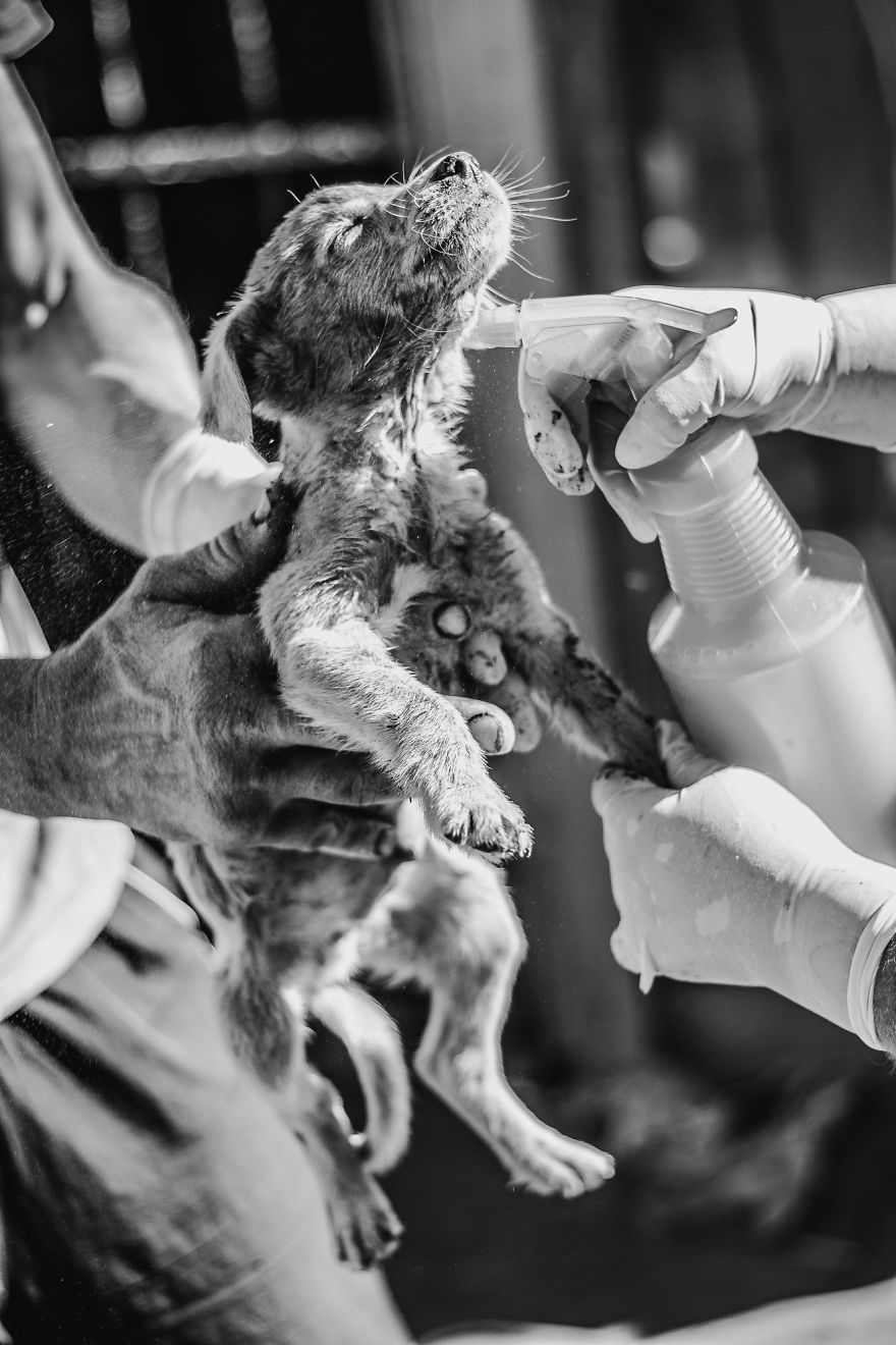 I Followed A Rescue Organisation Around An Informal Settlement In South Africa With My Camera