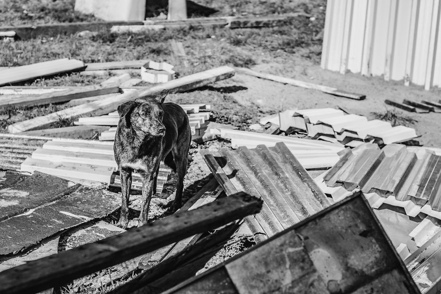 I Followed A Rescue Organisation Around An Informal Settlement In South Africa With My Camera