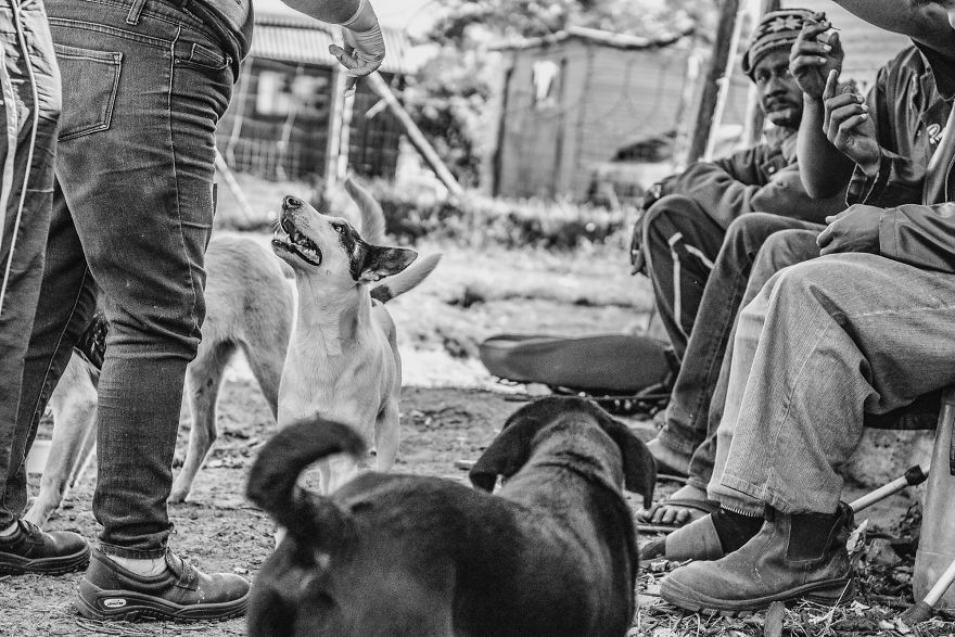 I Followed A Rescue Organisation Around An Informal Settlement In South Africa With My Camera