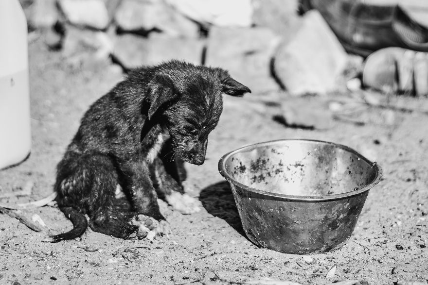 I Followed A Rescue Organisation Around An Informal Settlement In South Africa With My Camera