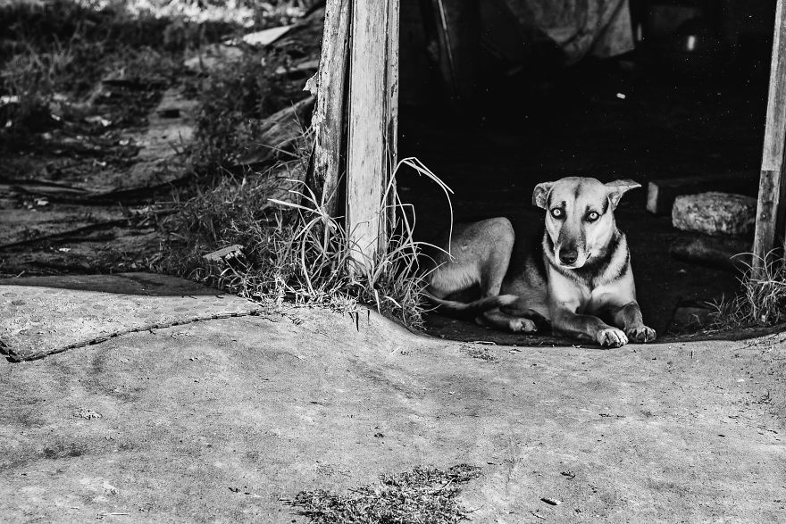 I Followed A Rescue Organisation Around An Informal Settlement In South Africa With My Camera