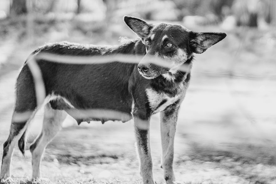I Followed A Rescue Organisation Around An Informal Settlement In South Africa With My Camera