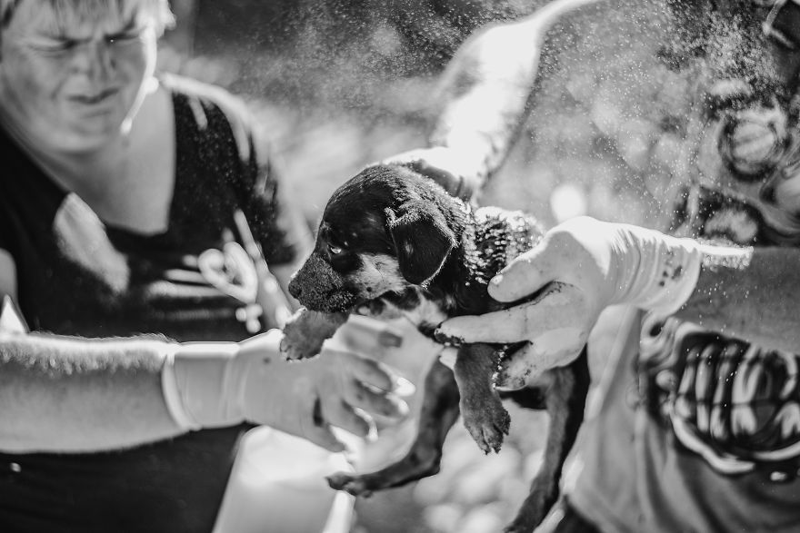 I Followed A Rescue Organisation Around An Informal Settlement In South Africa With My Camera