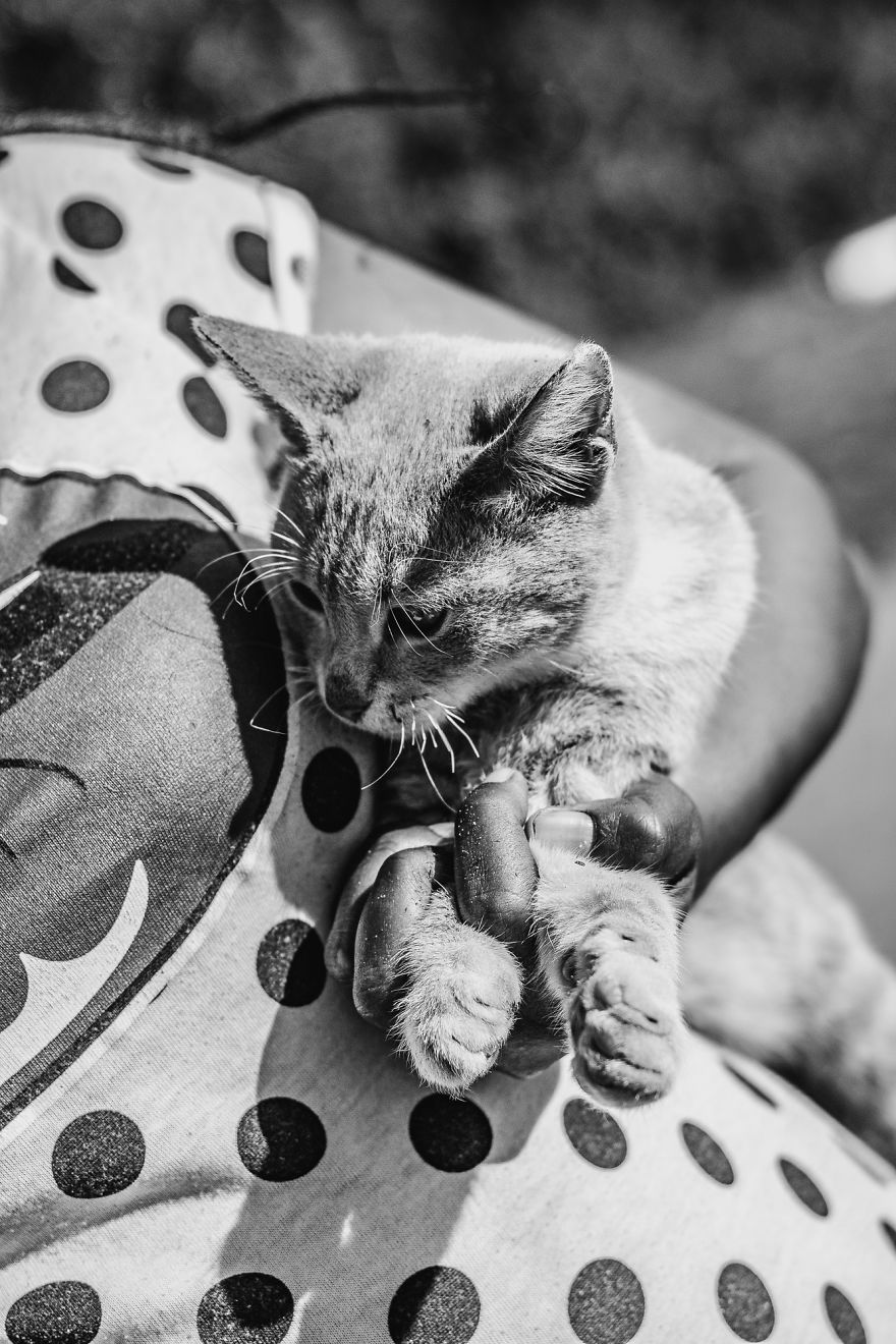 I Followed A Rescue Organisation Around An Informal Settlement In South Africa With My Camera