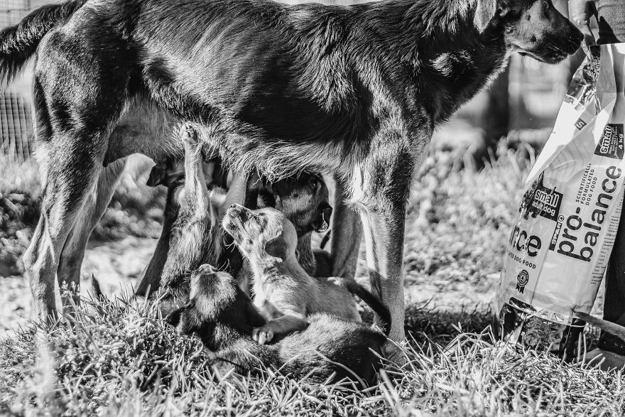 I Followed A Rescue Organisation Around An Informal Settlement In South Africa With My Camera