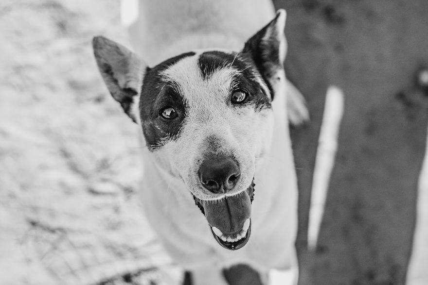 I Followed A Rescue Organisation Around An Informal Settlement In South Africa With My Camera