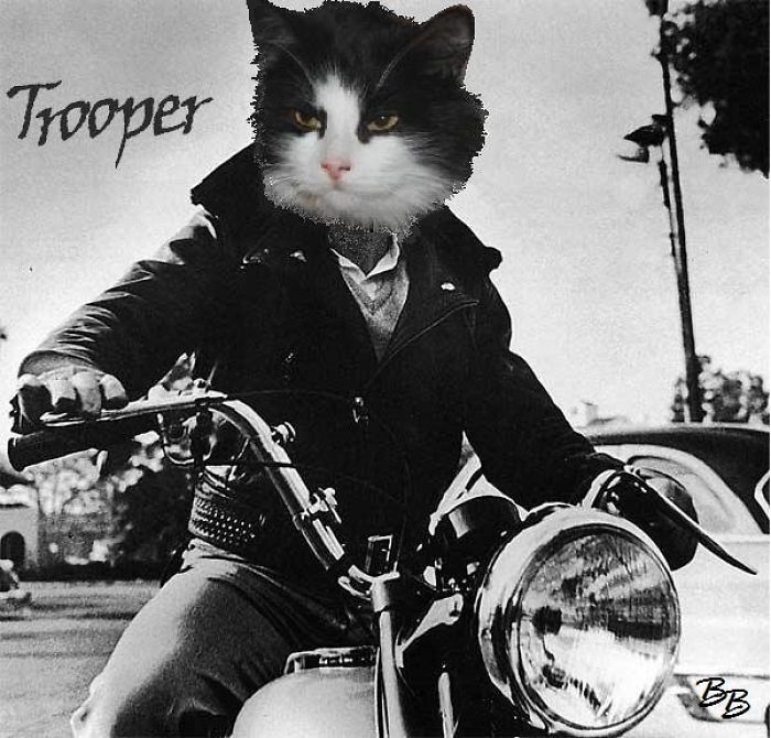 Troop Dean- Rebel Without Claws