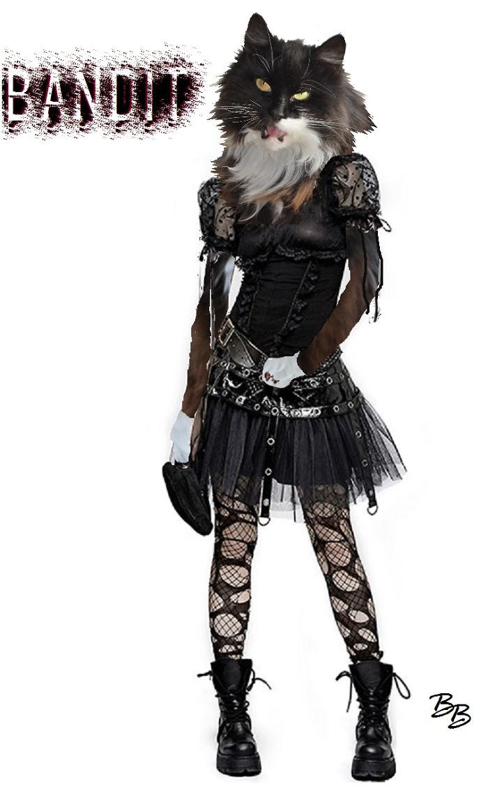 Bandit Loves Gothwear