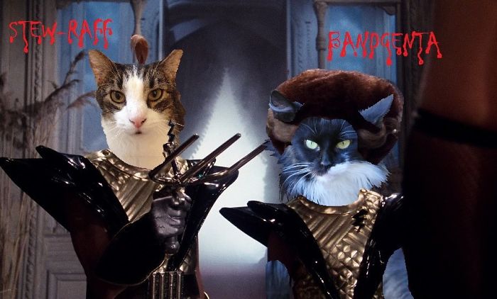 Rocky Horror Meowlloween