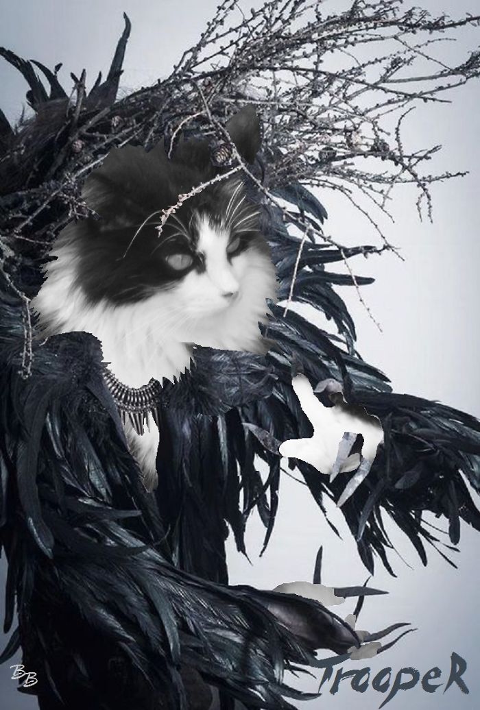 Meowlloween Cernunnos - Wild God Of The Forest