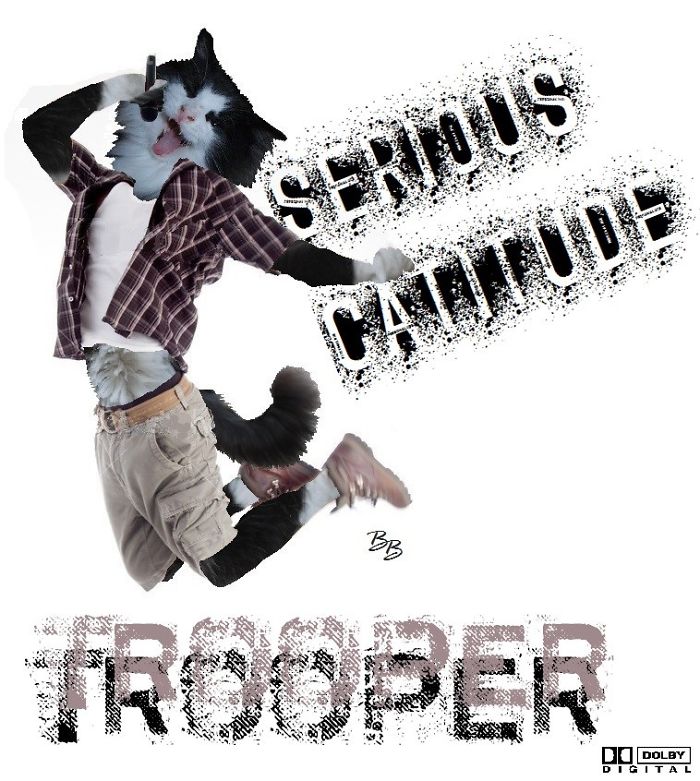 Caterwauling - Mew're Doin' It Right!