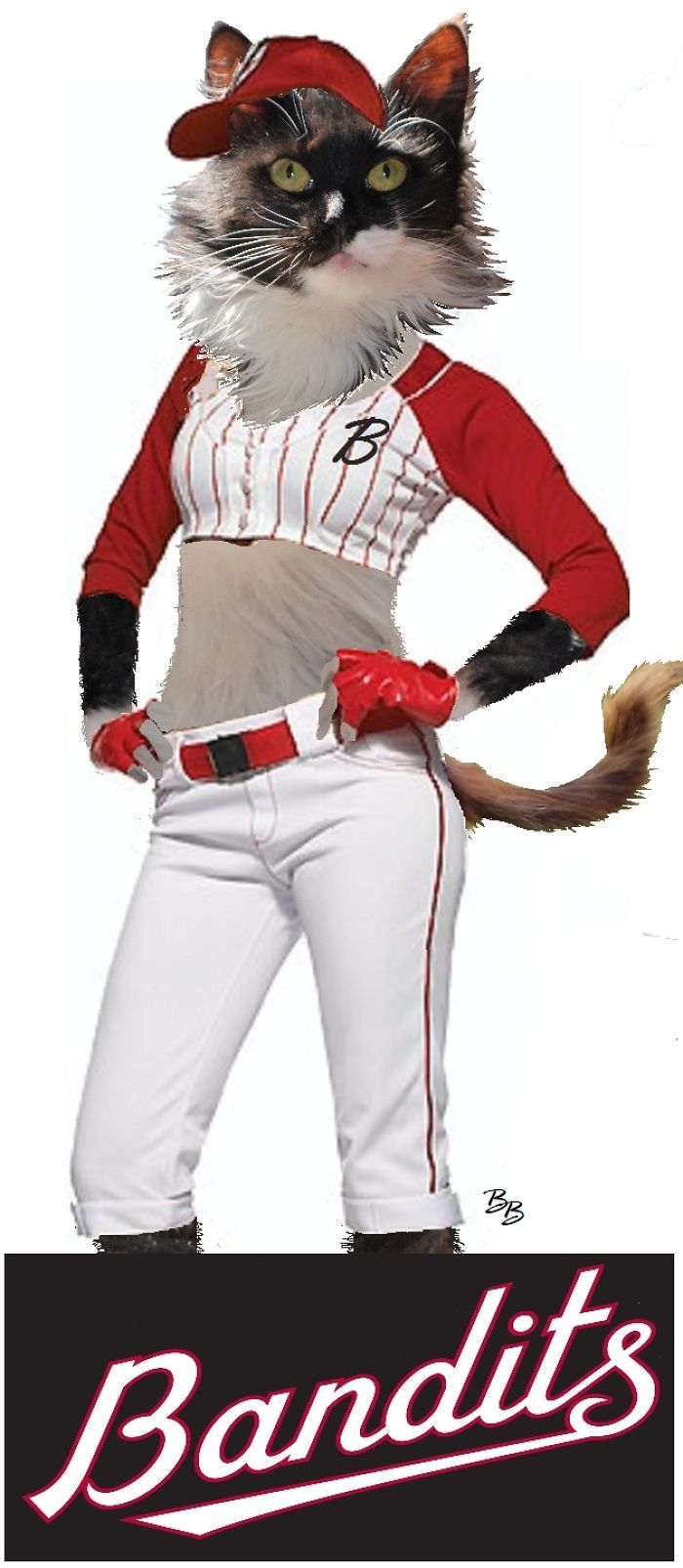 Bandit Has Her Own Baseball Team