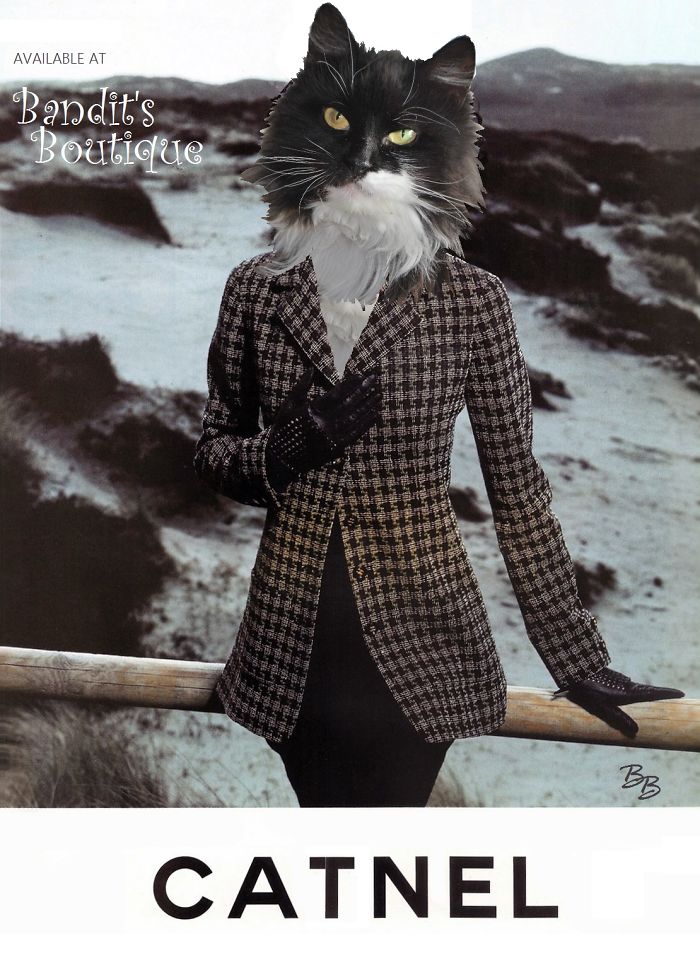 Bandit's Chanel Knockoffs