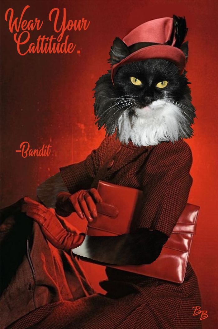 Borrowed From 1946 Cecil Beaton's Photography