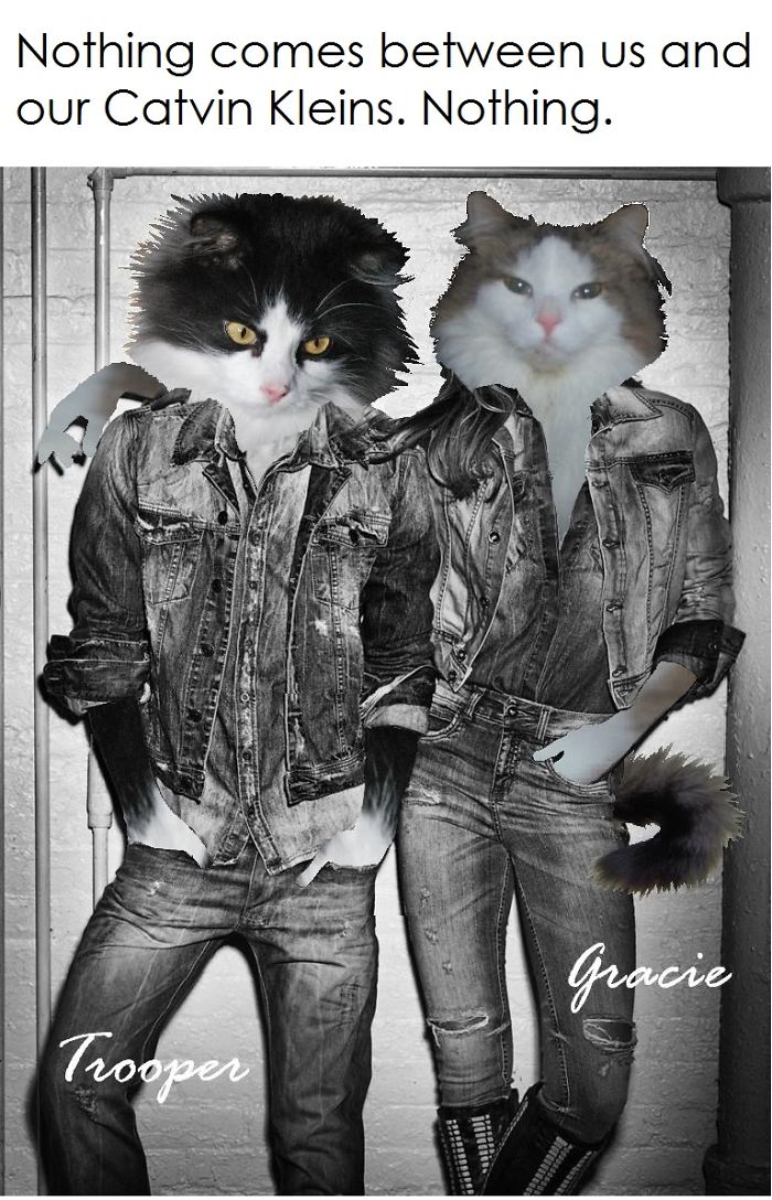 I Get Lots Of Requests From Our Facebook Friends