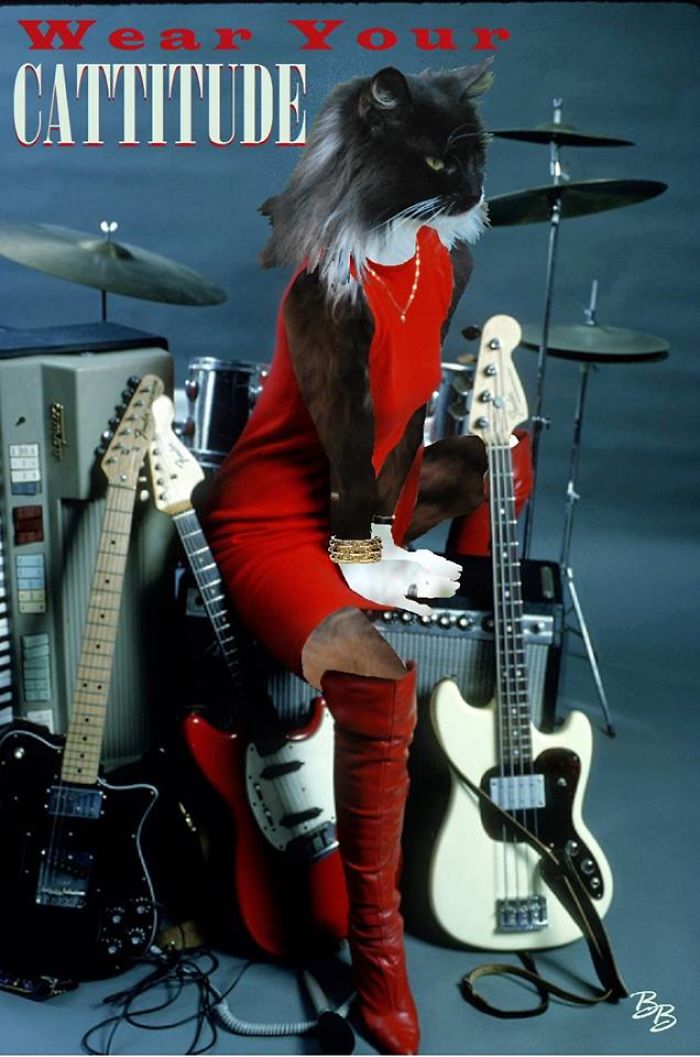 Bandit Experiments With Music