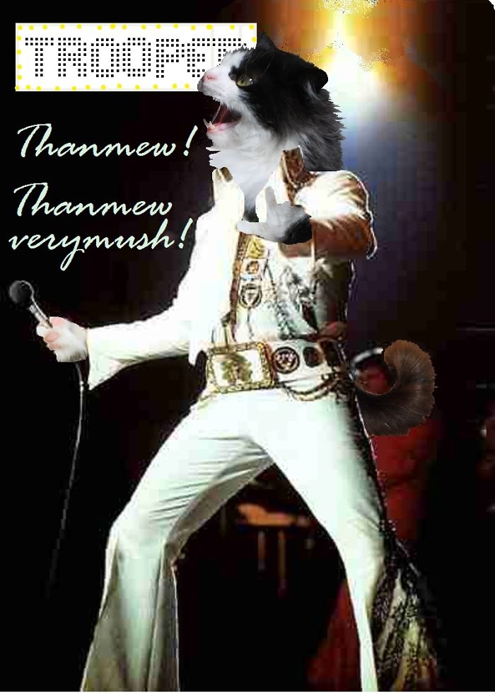 Trooper's Just A Ham