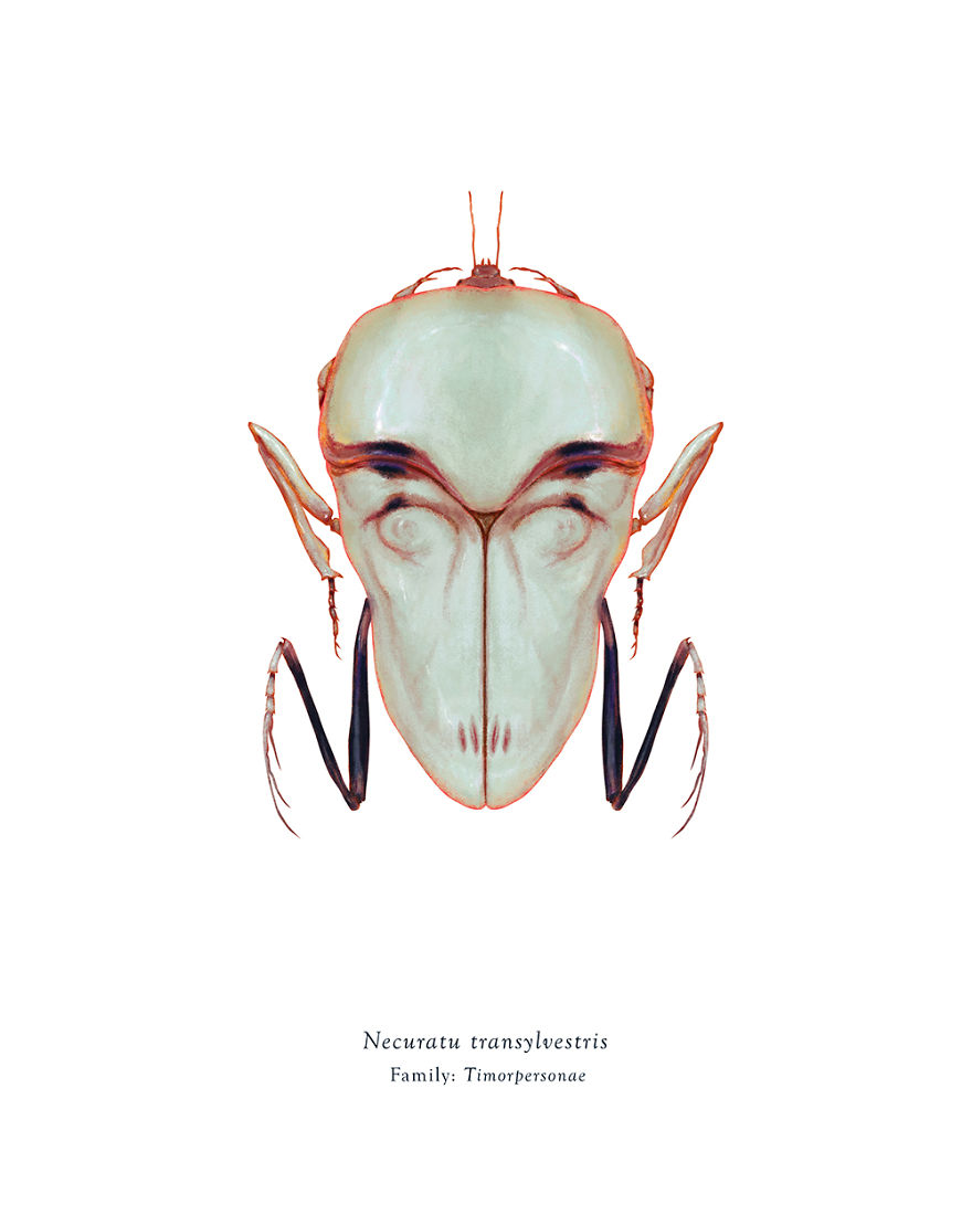 Necuratu Transylvestris