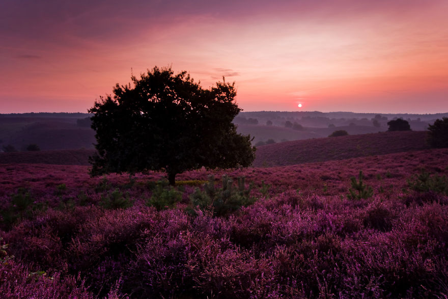 I Am Moving Out Of The Netherlands After 3 Years And Here Are My Favourite Photos