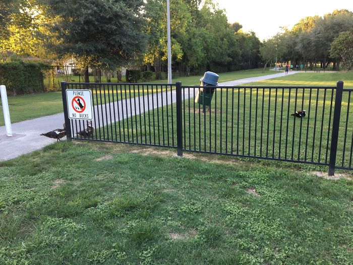 They Didn't Give A.... !!!