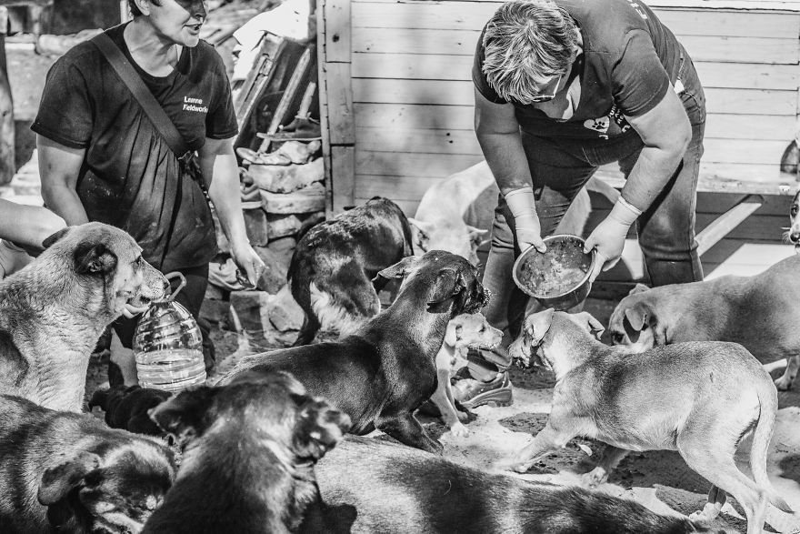 I Followed A Rescue Organisation Around An Informal Settlement In South Africa With My Camera