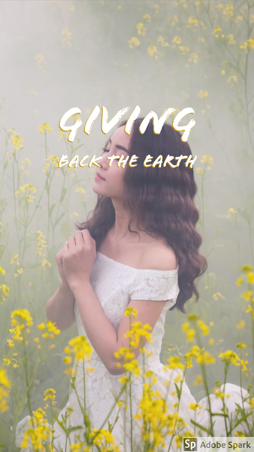 I'm Making A Novel And Here Was Some Book Cover Ideas