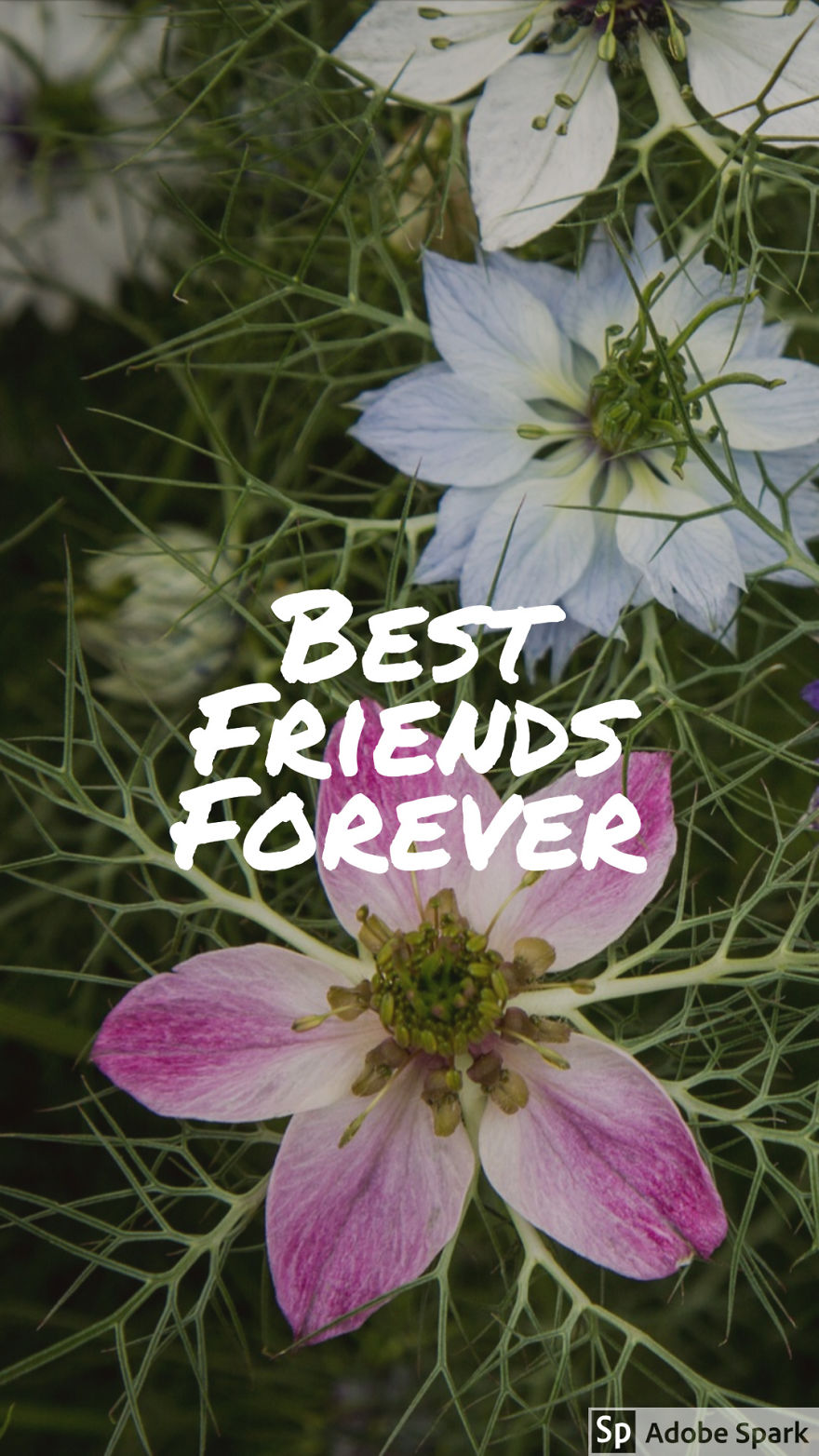 I'm Making A Novel And Here Was Some Book Cover Ideas