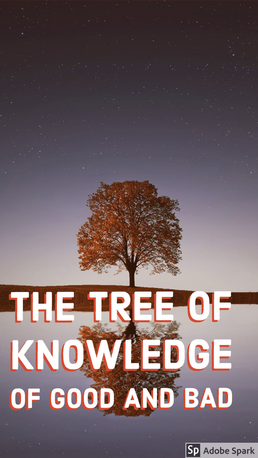 I'm Making A Novel And Here Was Some Book Cover Ideas