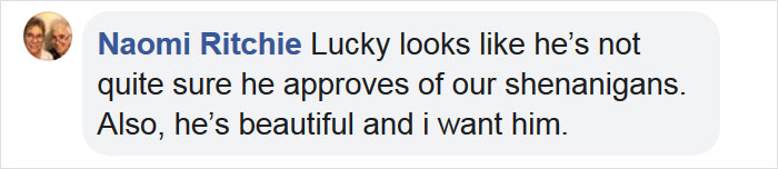 This Rescue Dog With Unique Features Is Taking Over The Internet