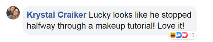 This Rescue Dog With Unique Features Is Taking Over The Internet This Rescue Dog With Unique Features Is Taking Over The Internet