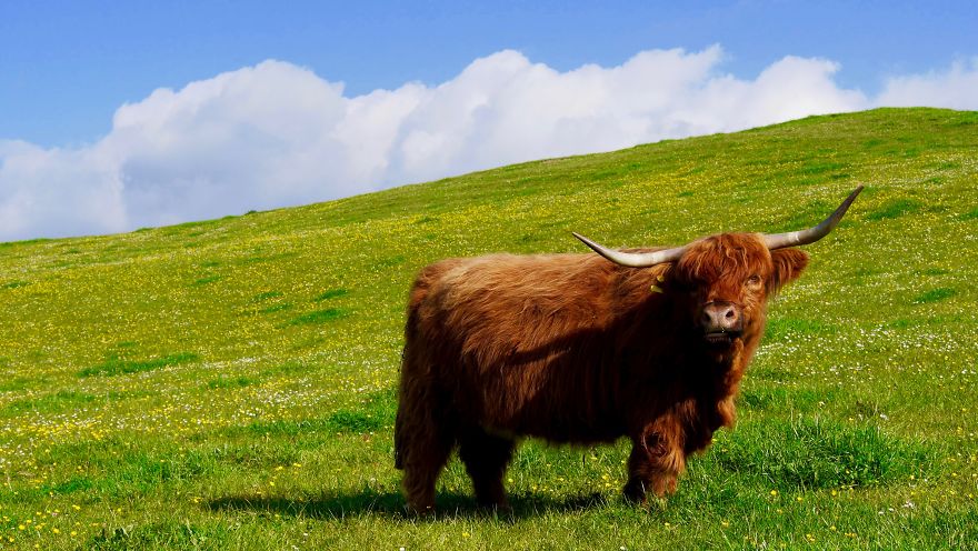 Gift - By Jeffrey Vincent Parise