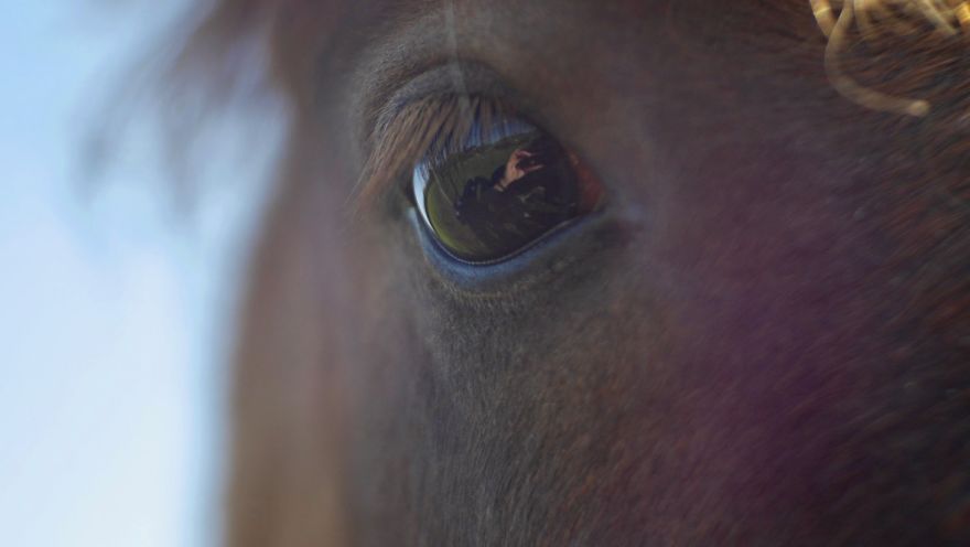 Gift - By Jeffrey Vincent Parise