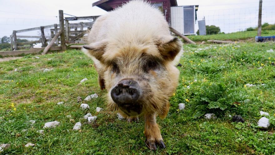 Gift - By Jeffrey Vincent Parise