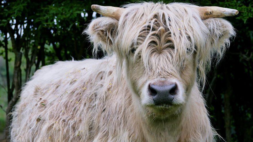 Gift - By Jeffrey Vincent Parise