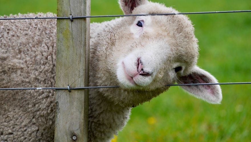 Gift - By Jeffrey Vincent Parise