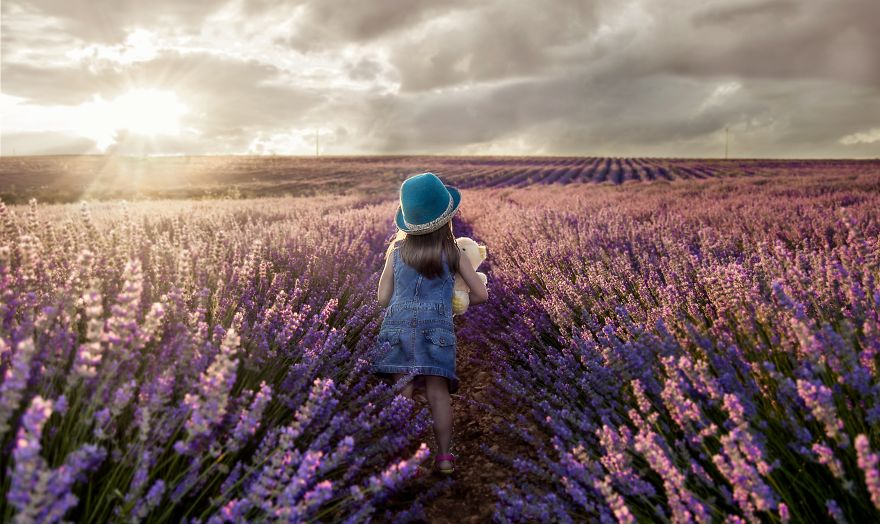 Sueño Entre Lavanda