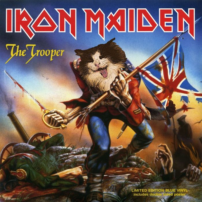 His Name Is Trooper, So Naturally...