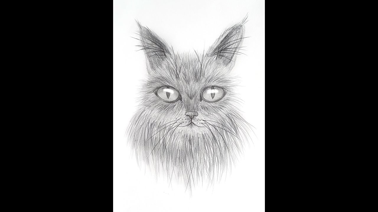 No One Believed That A 10 Year Old Could Draw Like This.