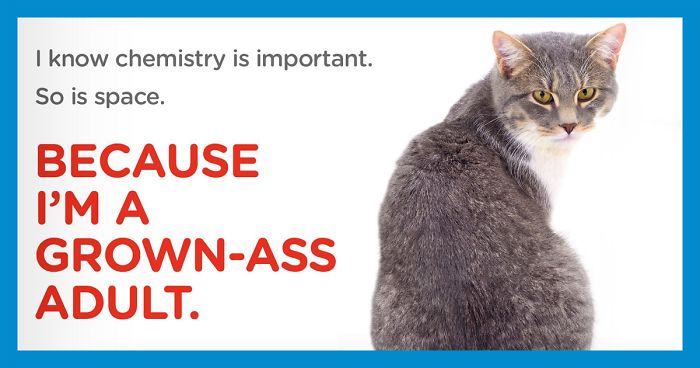 Animal Adoption Center Encourages People To Adopt Adult Pets With 16 Hilarious Posters