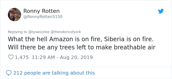 The Amazon Forest Has Been Burning For Weeks And NASA Shares Photos From Space