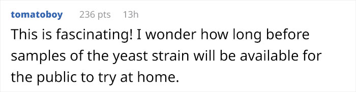 Scientist Bakes Bread From 4,500-Year-Old Yeast, Says The Flavor Is Incredible Scientist Bakes Bread From 4,500-Year-Old Yeast, Says The Flavor Is Incredible