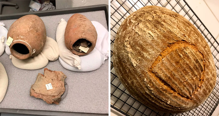 Scientist Bakes Bread From 4,500-Year-Old Yeast, Says The Flavor Is Incredible