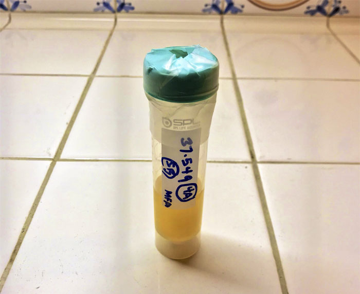 Scientist Bakes Bread From 4,500-Year-Old Yeast, Says The Flavor Is Incredible Scientist Bakes Bread From 4,500-Year-Old Yeast, Says The Flavor Is Incredible