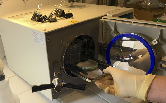 Scientist Bakes Bread From 4,500-Year-Old Yeast, Says The Flavor Is Incredible