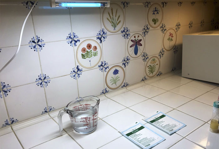 Scientist Bakes Bread From 4,500-Year-Old Yeast, Says The Flavor Is Incredible