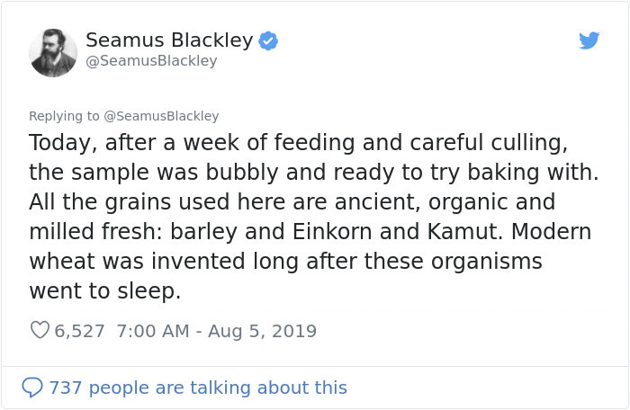 Scientist Bakes Bread From 4,500-Year-Old Yeast, Says The Flavor Is Incredible Scientist Bakes Bread From 4,500-Year-Old Yeast, Says The Flavor Is Incredible