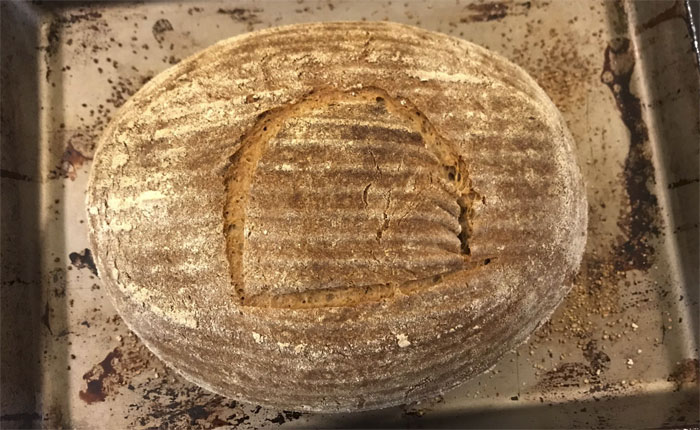 Scientist Bakes Bread From 4,500-Year-Old Yeast, Says The Flavor Is Incredible Scientist Bakes Bread From 4,500-Year-Old Yeast, Says The Flavor Is Incredible