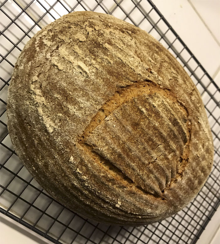 Scientist Bakes Bread From 4,500-Year-Old Yeast, Says The Flavor Is Incredible