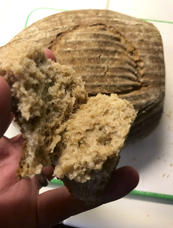 Scientist Bakes Bread From 4,500-Year-Old Yeast, Says The Flavor Is Incredible